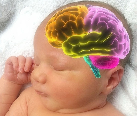 Применение стволовых клеток при гипоксически-ишемическом повреждении головного мозга новорожденных