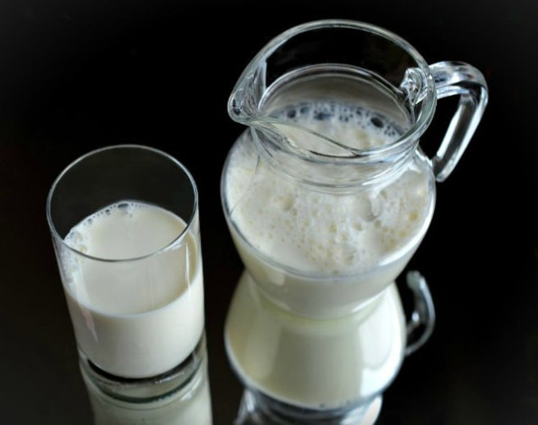 Молоко в сыром виде небезопасно