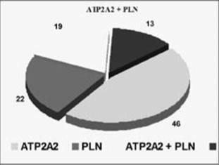 Рис. 3. Влияние полиморфизма генов ATP2A2 (кальциевая АТФ-аза), PLN (фосфоламбан), ADRB1 (бета-1-адренорецепторы), IGF1 (инсулиноподобный фактор роста) на дисперсию признаков, характеризующих эффективность лечения ХСН.