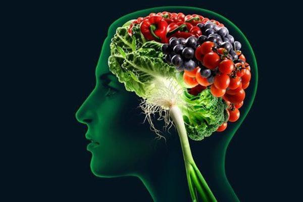 Как питание влияет на мозговую деятельность