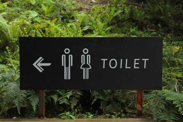 Походы в туалет: нормы и отклонения
