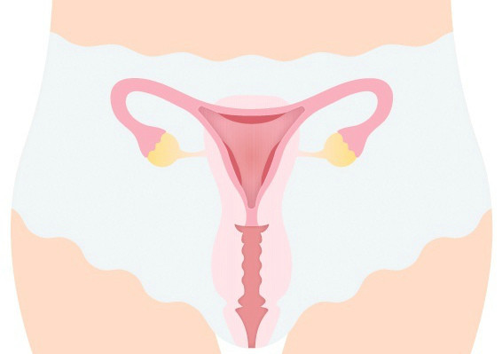 Какие бывают нарушения менструального цикла: сбои сроков цикла