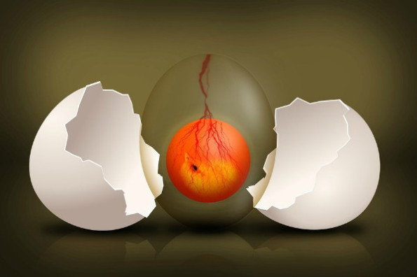 Эмбрион в яйце при замершей беременности умирает