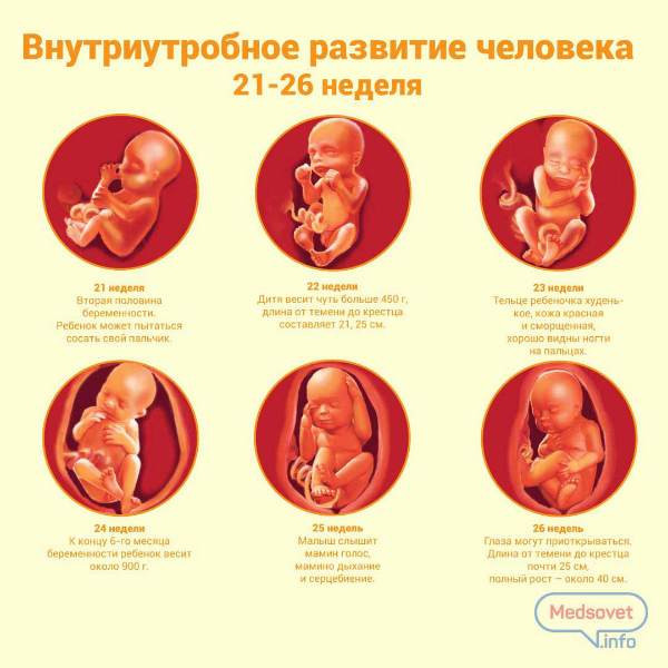 Беременность 21 22. Положение ребенка на 22 неделе беременности. Плод на 22 неделе беременности в животе. Малыш в утробе матери 22 неделе беременности. Положение малыша на 20 неделе беременности.
