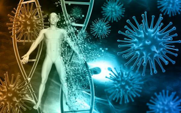 Каким бывает и как формируется иммунитет у человека