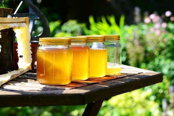 Когда мёд может быть вреден для организма