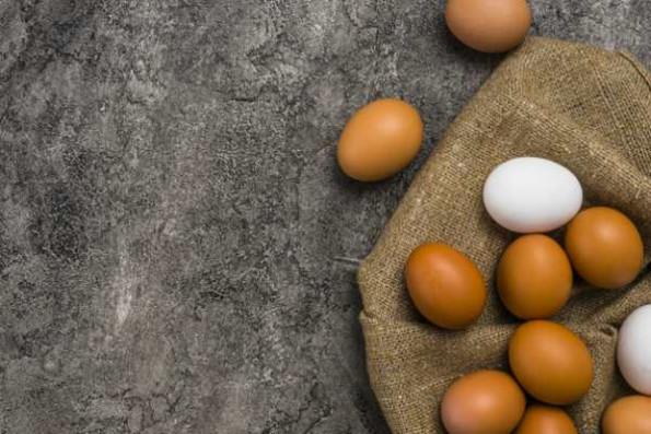 В яйцах много легкоусвояемого белка 