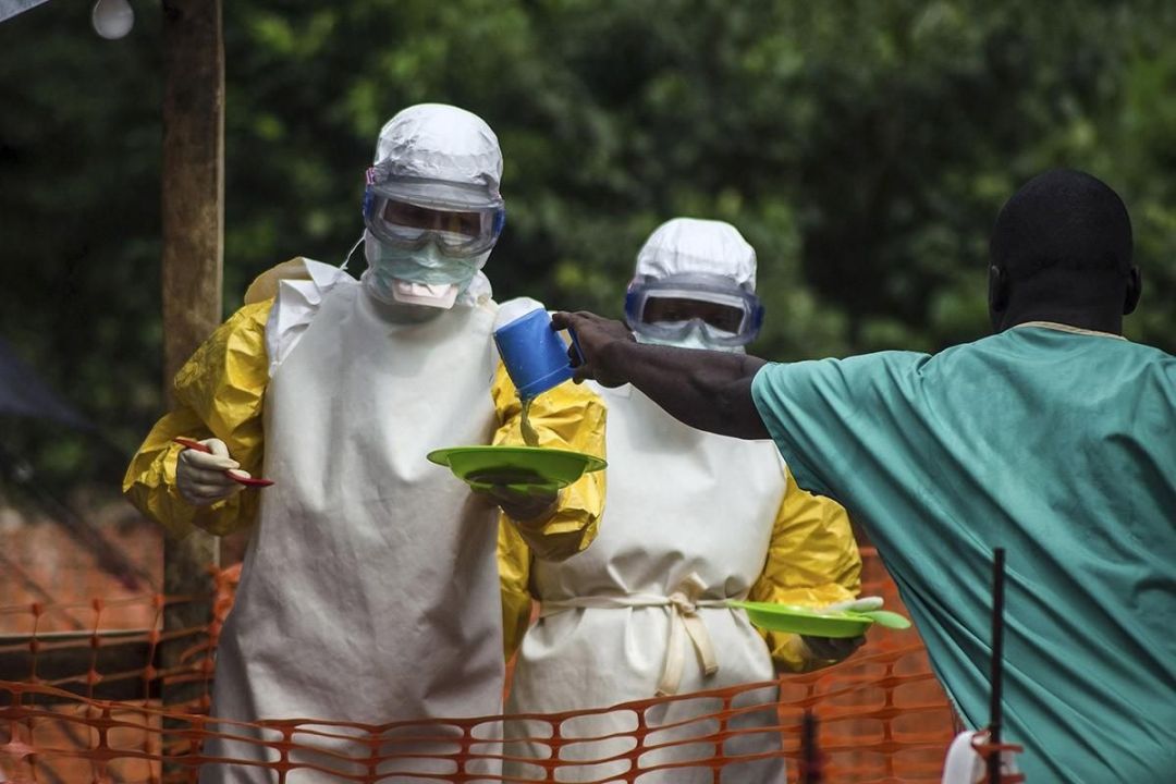 Единичные случаи лихорадки Эбола регистрируются в Европе и США