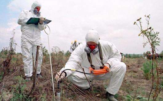 В почве Невского района Петербурга выявлено канцерогенное вещество
