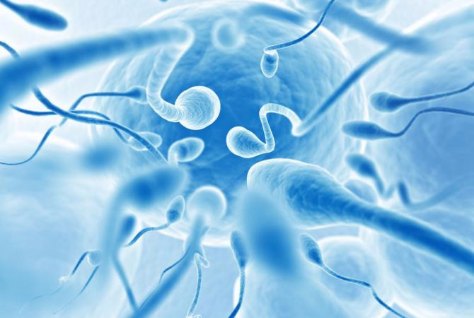 Ученые определили признаки идеального донора спермы