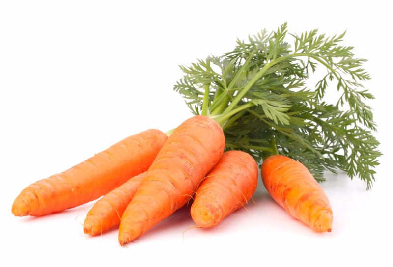Учёные рассказали, почему женщинам надо есть морковь