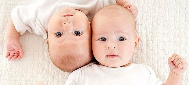 Почему рождаются двойни