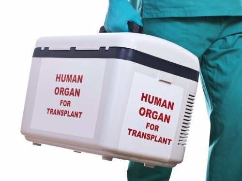 Госдума рассмотрит закон о донорстве органов