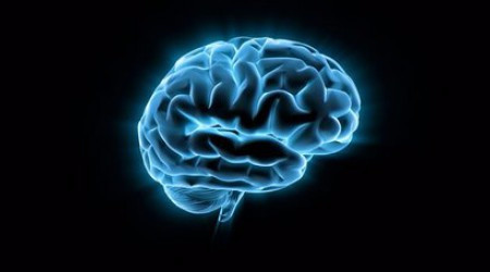 Когда головной мозг человека можно назвать зрелым?