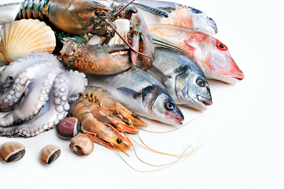 Любители морепродуктов съедают тысячи частиц пластика
