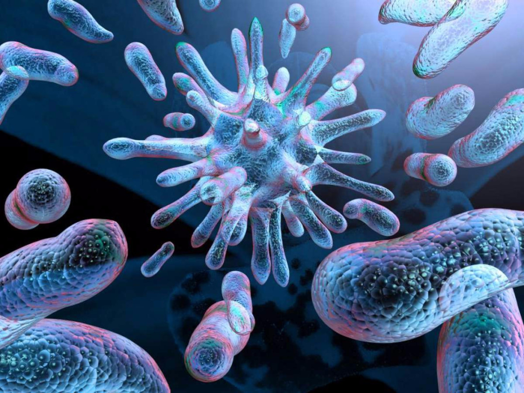 Названы самые опасные бактерии в мире