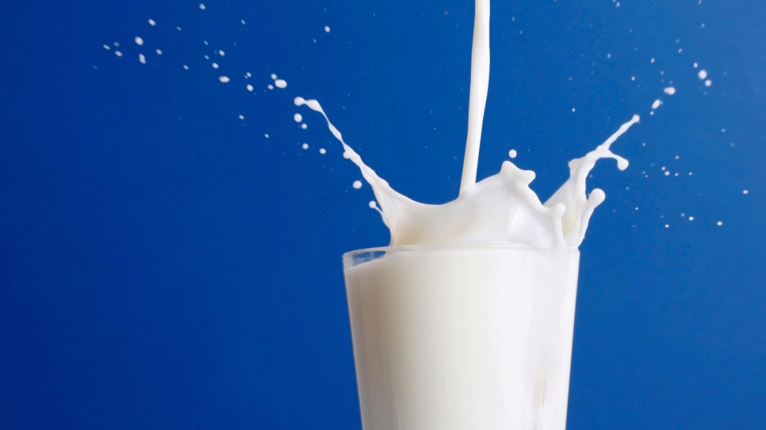 Половина населения России не переносит молоко