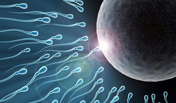 Как увеличить подвижность сперматозоидов?