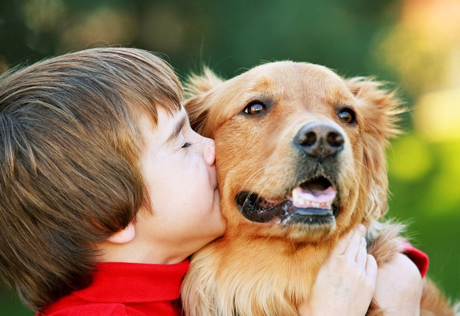 Собака в доме защитит ребёнка от экземы и астмы