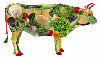 Тотальное вегетарианство вызовет эпидемию недоедания