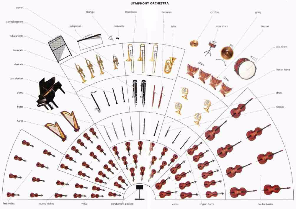 Схемы музыкальных инструментов. Рассадка симфонического оркестра схема. Схема рассадки инструментов в симфоническом оркестре. Схема рассадки музыкантов в симфоническом оркестре. Схема расположения инструментов в симфоническом оркестре.