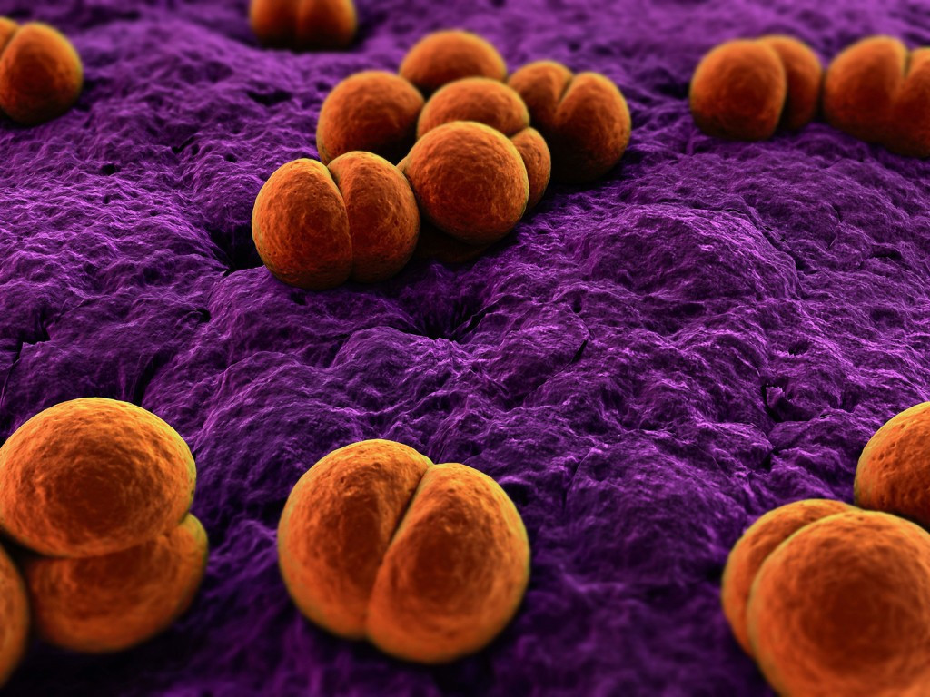 Британские врачи описали случай гонореи, устойчивой к действию антибиотиков