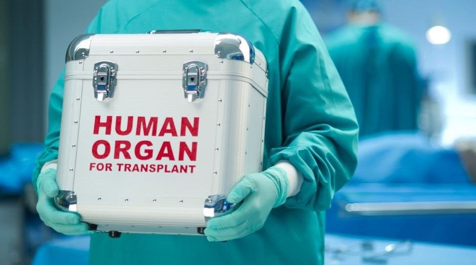 Список медучреждений, работающих в сфере трансплантологии, будет расширен