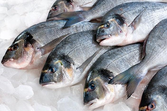 Специалисты проверили безопасность рыбы и морепродуктов
