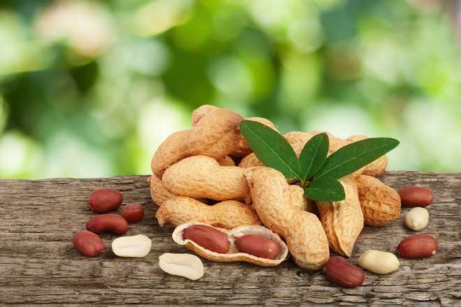 Учёные победят аллергию на арахис