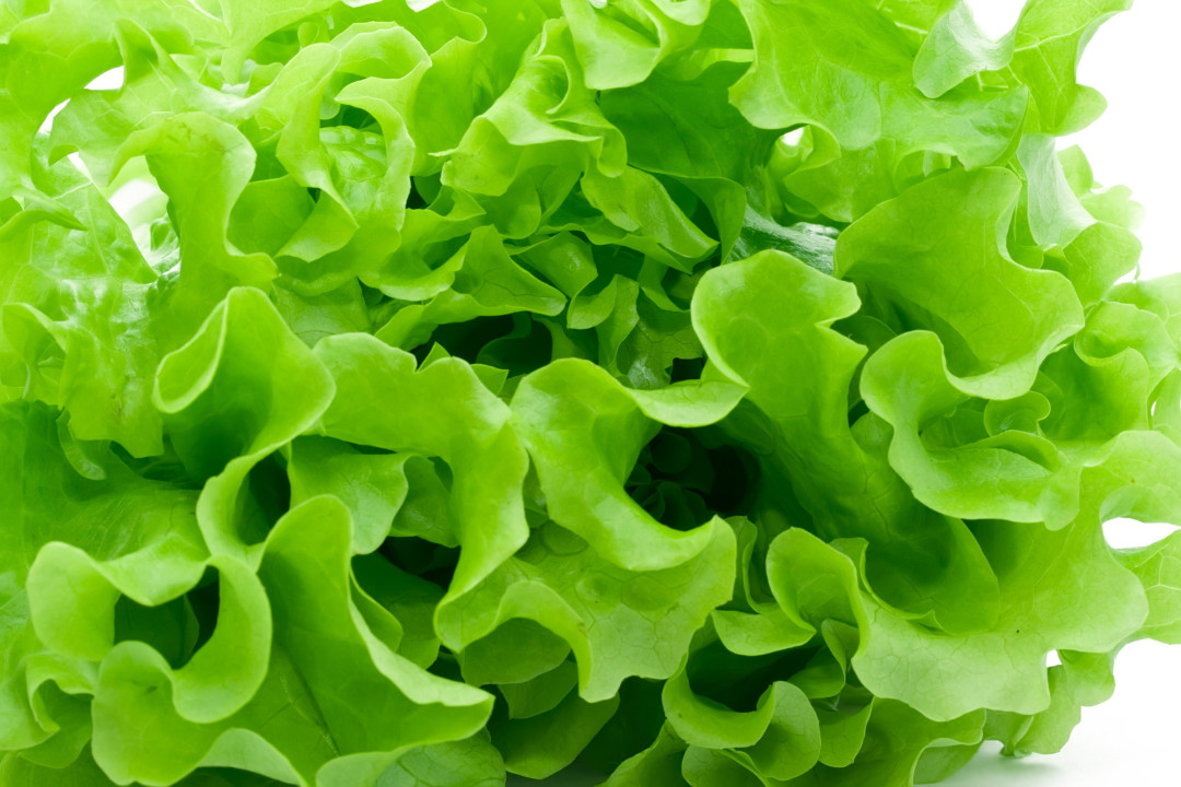 Диетологи рекомендуют есть больше зелёных листовых овощей