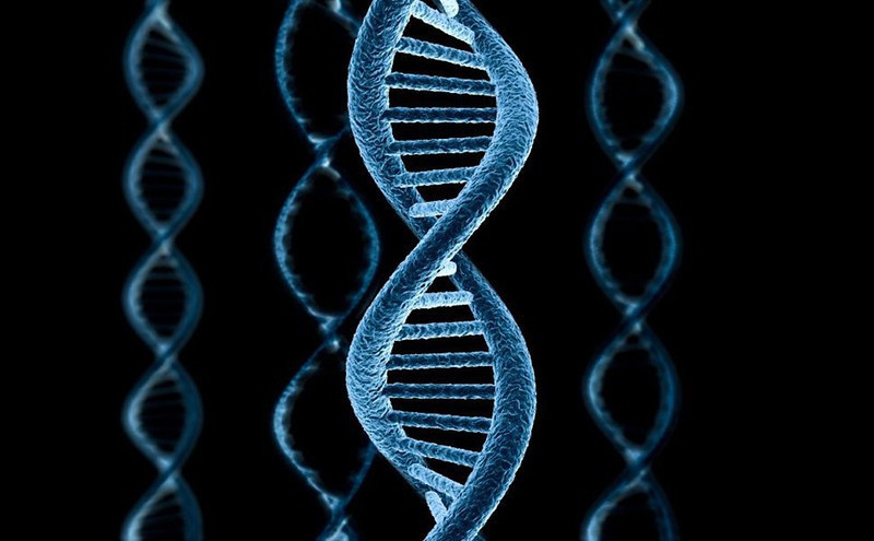 Генетическая информация может быть приравнена к персональным данным
